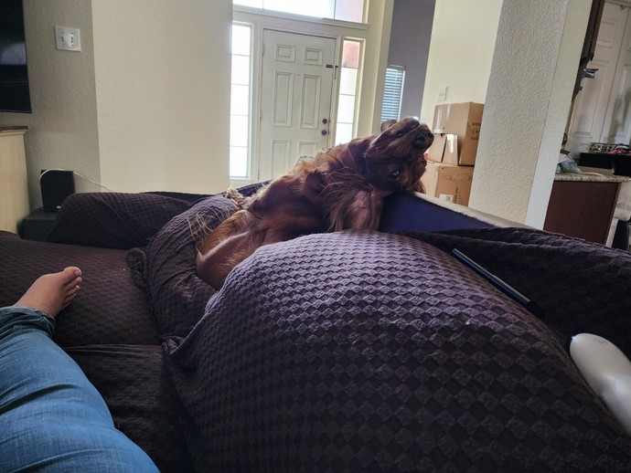 How To Be Highly Masculine In 2023