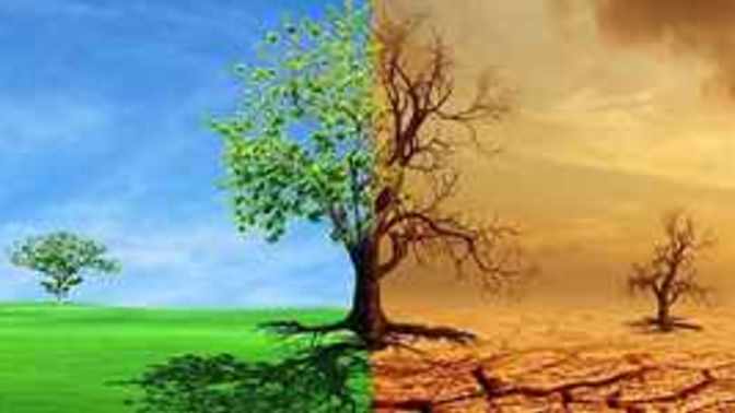 The Conclusions of Climate "Scientists" violate the scientific method.