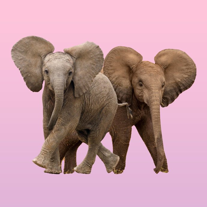 Guest Essay in the New York Times: My Fellow Republicans: It’s Time to Grow Up