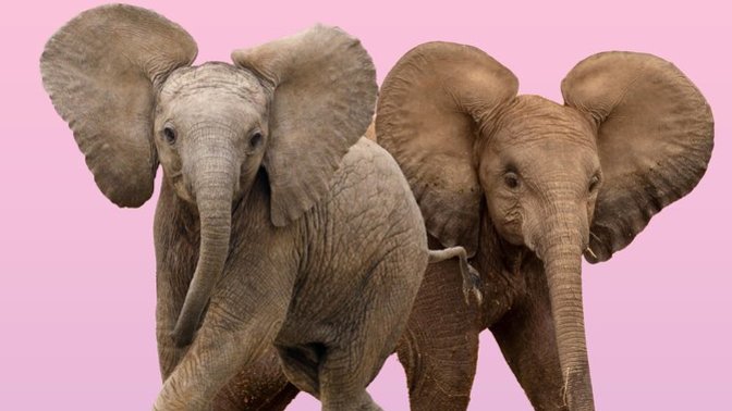 Guest Essay in the New York Times: "My Fellow Republicans: It’s Time to Grow Up"