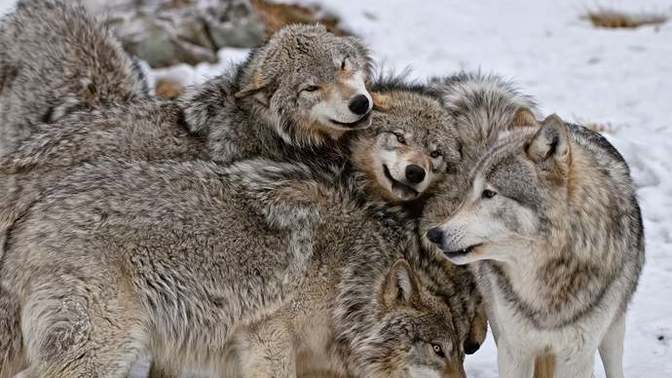 Walking the Path of Stoicism