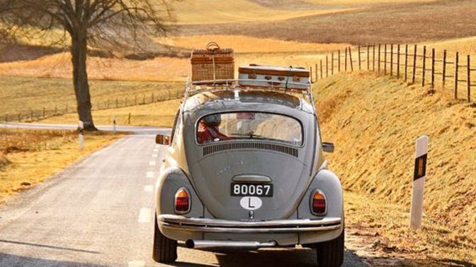 Things to Do on Thanksgiving