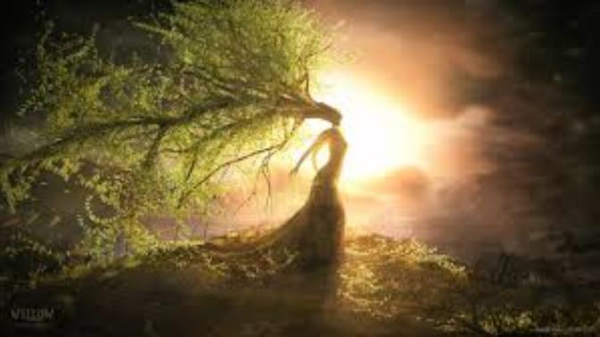 A Willow's Strength, Written By Aaliyah C.