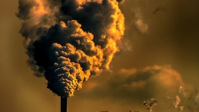 Pollution has made humanity less intelligent