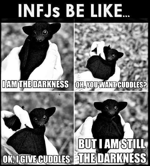 Memes About ENFPs
