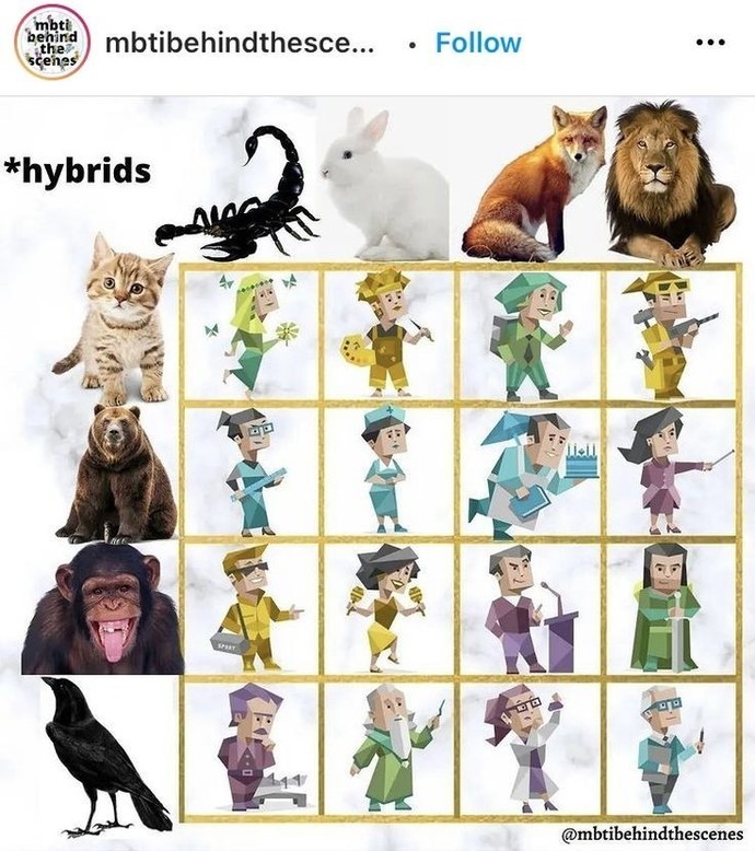 Memes About ENFPs