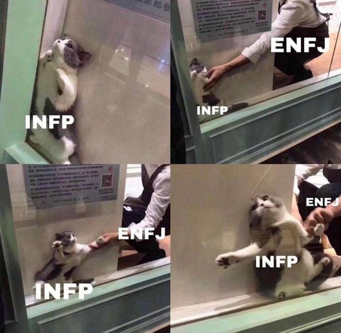 Memes About ENFPs