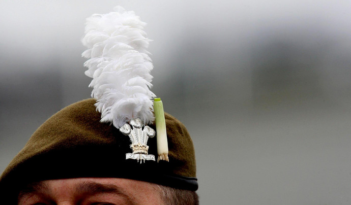 Ive got a little leek in my cap