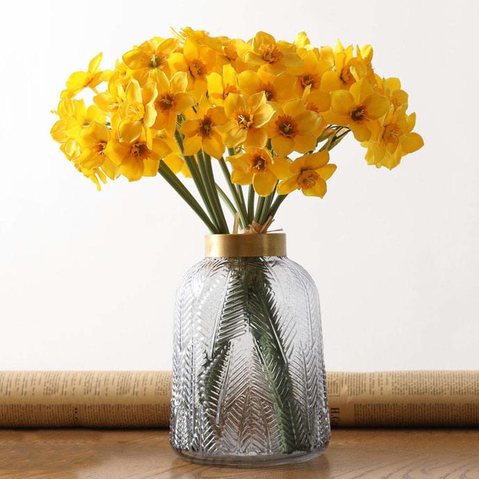 Spring into bloom: 5 plants to freshen up your home
