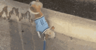 It doesn’t have to be a pissing contest
