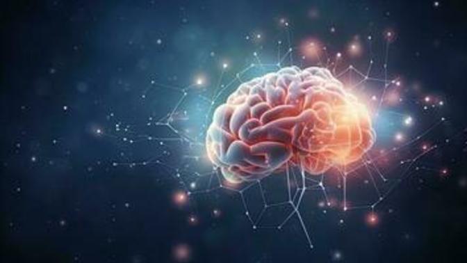 Exploring the Interplay Between the Brain, Mind, Nervous System, and Meditation: A Scientific Perspective