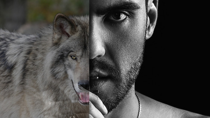 Why Women Love The Alpha Male