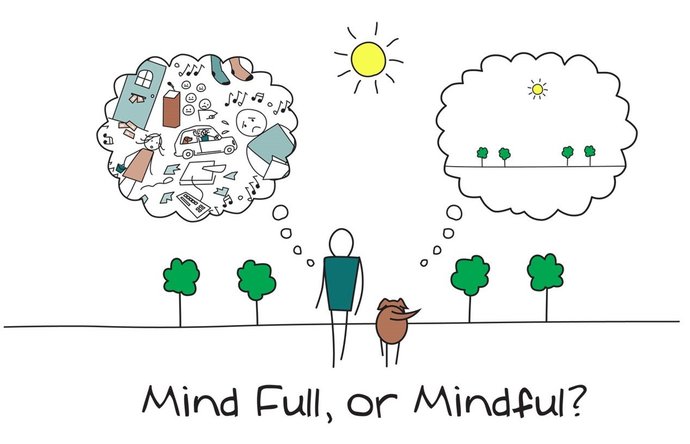 Understanding Mindfulness and How to Integrate It into Your Daily Routine