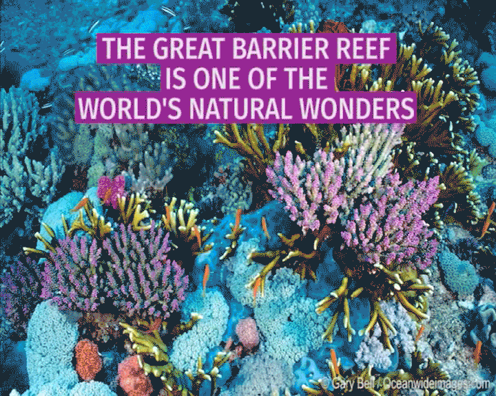 Humans are a plague on the planet. Do YOUR part for the world we live in!