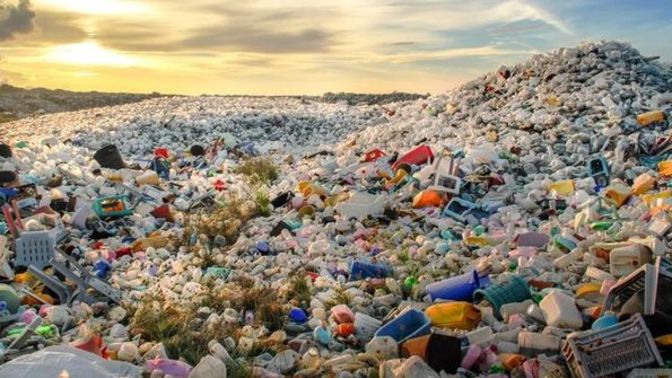 Humans are a plague on the planet. Do YOUR part for the world we live in!