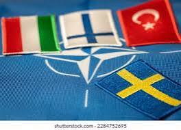 Truths and lies. Facts about Russia Ukraine war. Who is the noble villain?