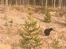 Was there voter fraud in 2020?