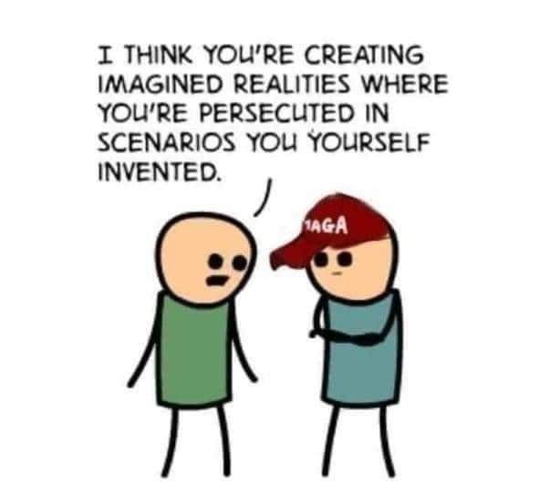 Was there voter fraud in 2020?