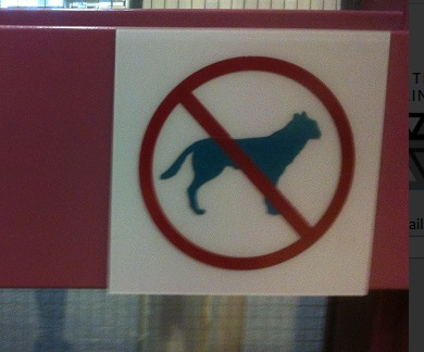 As an Older Woman Dating a Younger Man, the Cougar Stereotype Is Harmful and Needs to Go