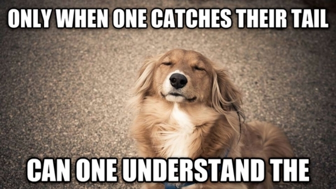 Woke ideology is a cultural race