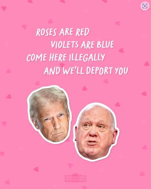 Is Valentine's Day Overrated or Actually Special?