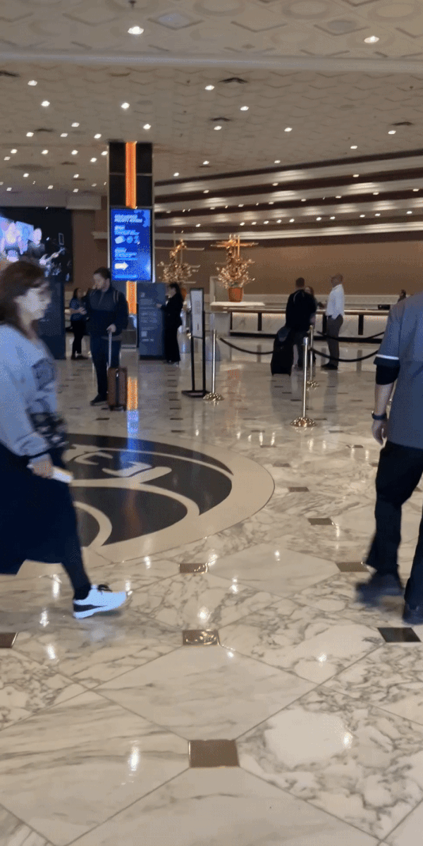 Dizzy Adventures in Vegas