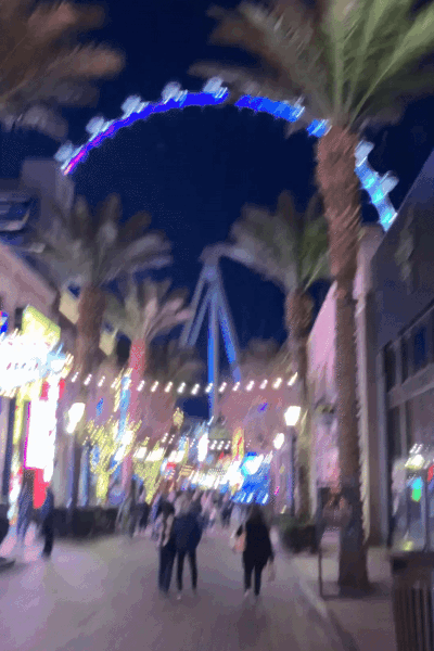 Dizzy Adventures in Vegas