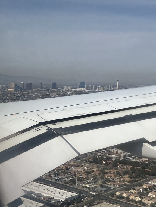 Dizzy Adventures in Vegas