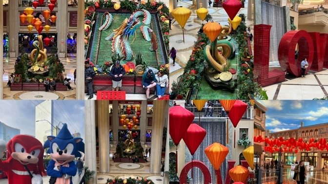 Dizzy Adventures in Vegas