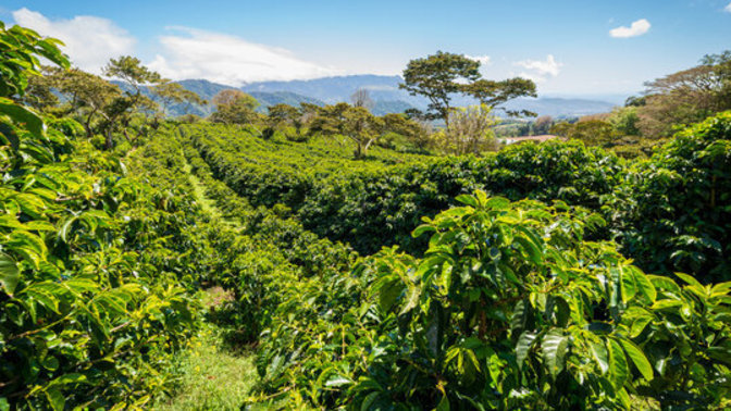 The sacredness of seeds. The wonder of creation and all living creatures. An essay I wrote for Earth Day 2012.