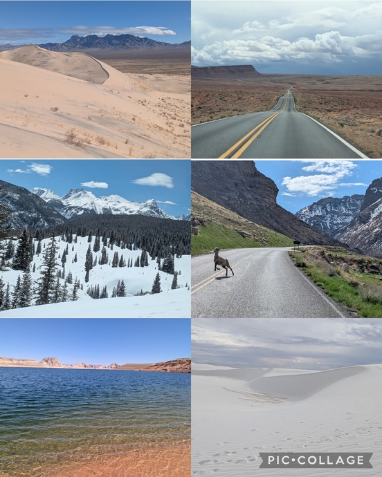 I visited the USA for the first time. It was not how I thought it would be..