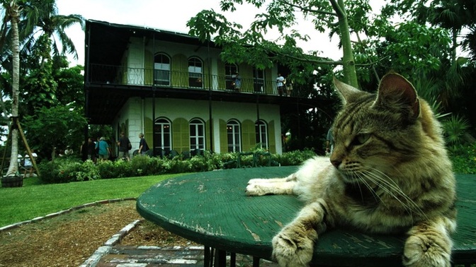 Want to be a professional writer? Do this first. So sayeth Hemingway, so sayeth I.