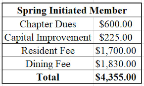 Is Joining a Sorority All Its Cracked Up to Be?