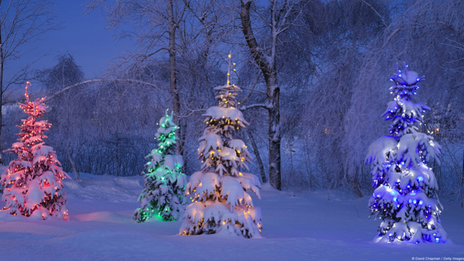 A Reminder at Christmas...