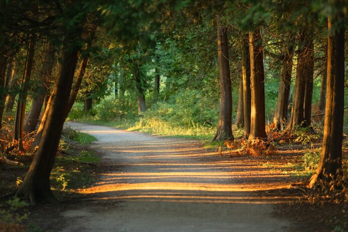 My Journey of Faith: A Gay Catholic’s Path to Reconciliation