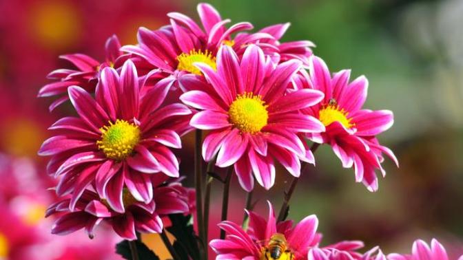4 Simple Things to Get Through Your Beautiful Day