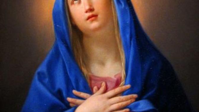 An Open Letter To The Holy Virgin And The Smart Slut