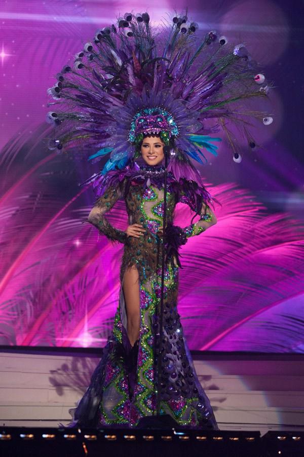 Best Costumes From The Miss Universe Pageant