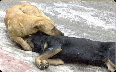 How to Cope with a Friend's Death