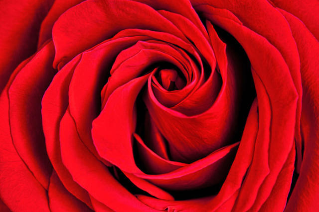 The Colors of Love & Their Meaning