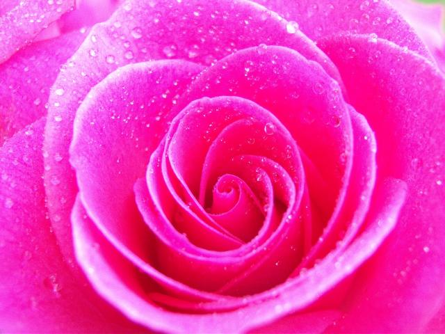 The Colors of Love & Their Meaning