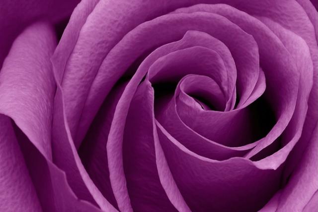 The Colors of Love & Their Meaning