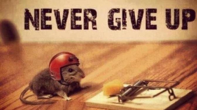 Motivational pick up !