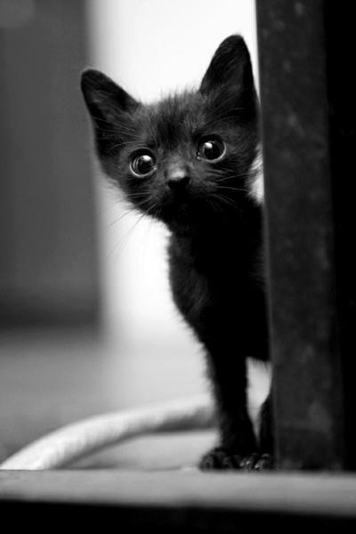 13 Myths & Superstitions About Friday The 13th