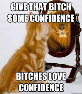 Demystifying the "Importance of Confidence"