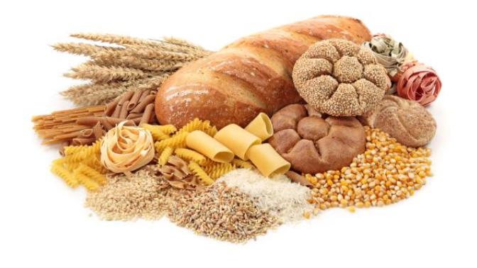 Why grains and legumes are bad for you!