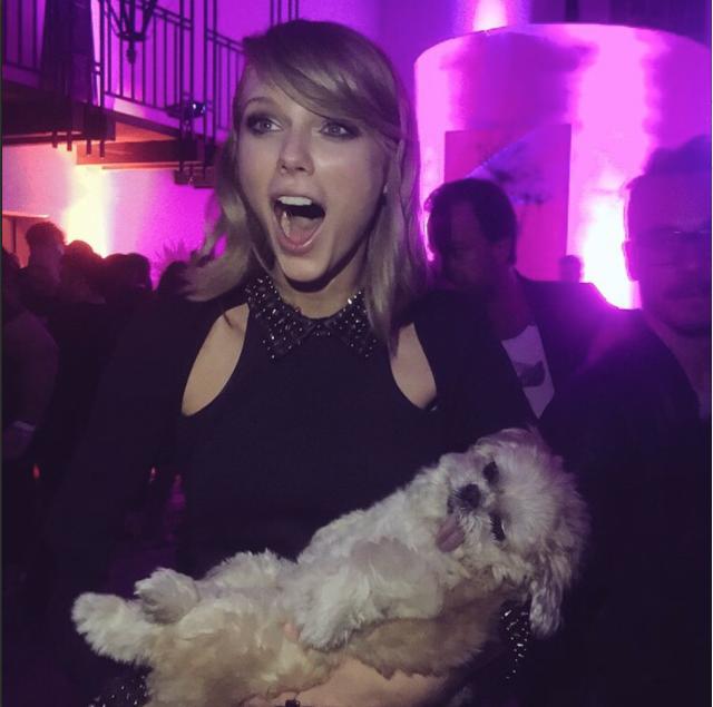 Meet Instafamous "Marnie The Dog!"