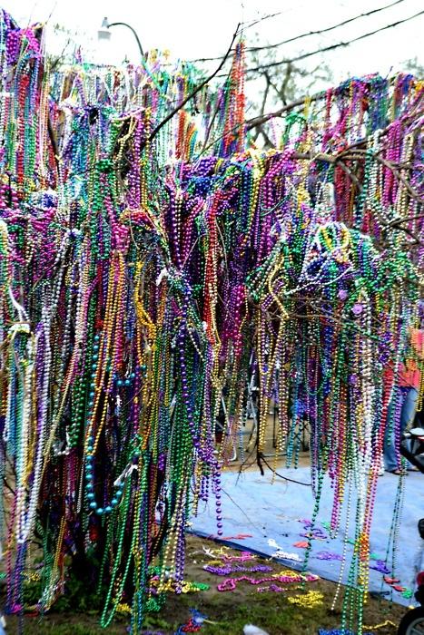 Your Fat Tuesday & Mardi Gras Guide