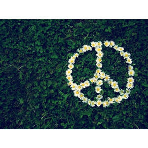 To the religious and lack thereof: Watch your Words [quotes by you]- Paving the way for World Peace.