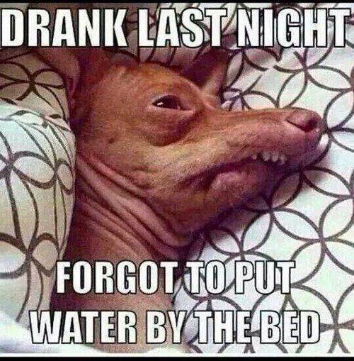 10 Ways To Cure A Hangover
